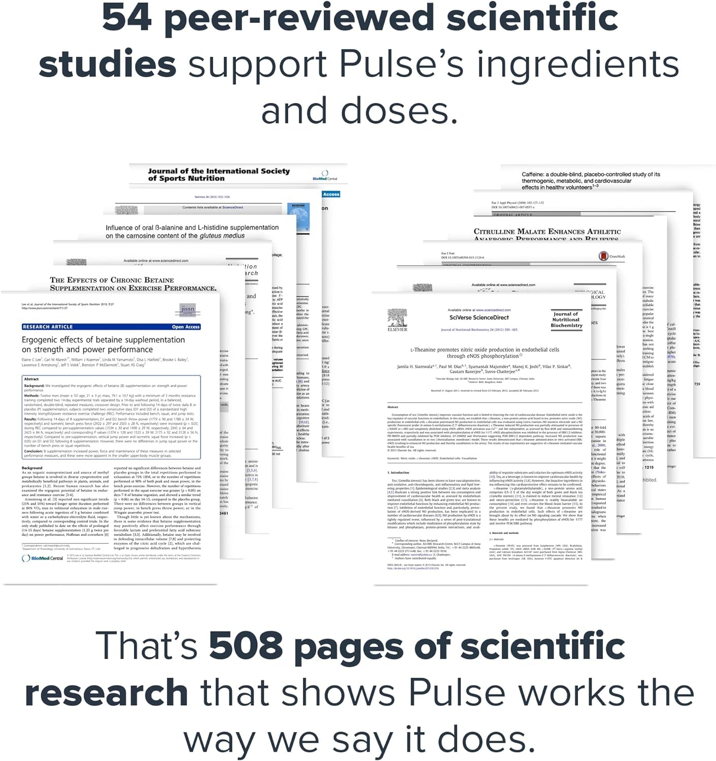 Pulse Pre Workout Supplement - All Natural Nitric Oxide Preworkout Drink to Boost Energy, Creatine Free, Naturally Sweetened, Beta Alanine, Citrulline, (Fruit Punch)